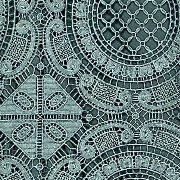 Antropologie James Coviello New York Lace Blouse Top Green Button Up Elegant XL - Picture 5 of 11